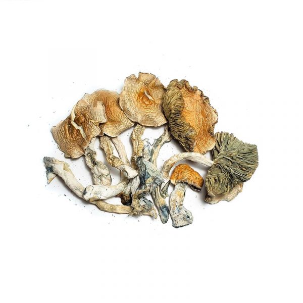 Magic mushrooms legal for sale